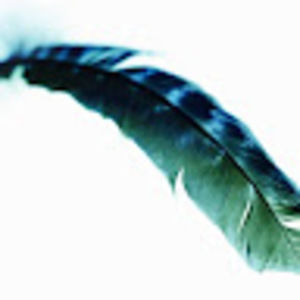 Meet your Posher, Annette